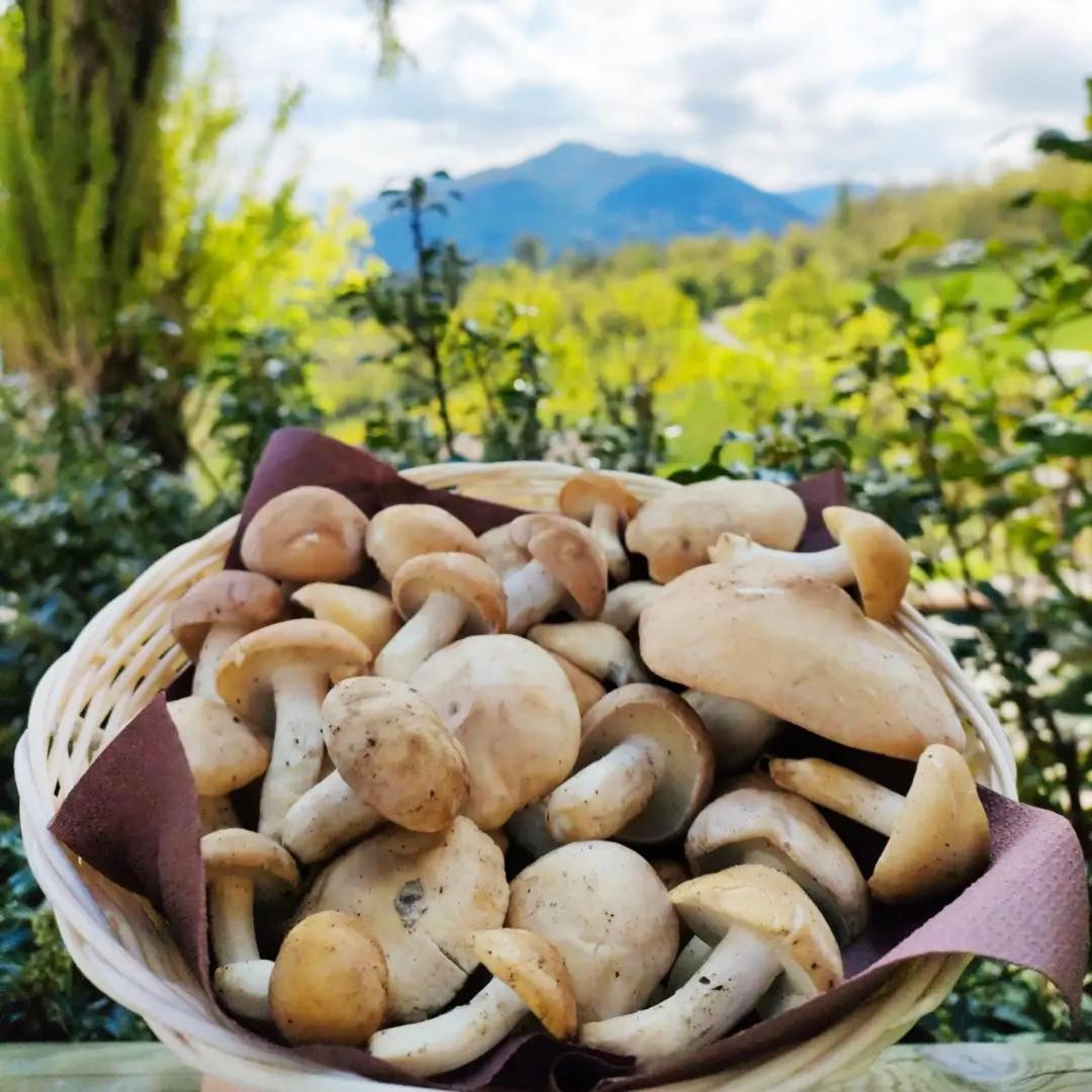 Locanda Romana Fanano Esterno foto